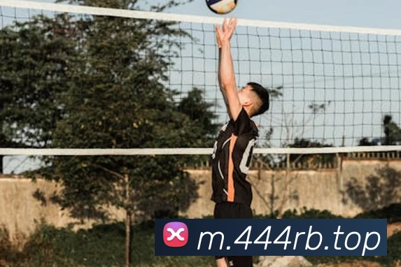 热博rb88APP 封面图